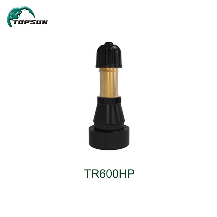 TR600HP car tire valve Snap-in Tubeless Tire Inflators Valve For high Pressure Application