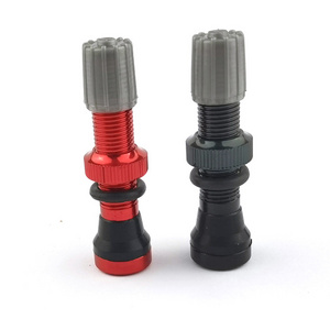 TAV01-40 BICYCLE TIER PRESTA VALVE BIKE TYRE TUBELESS ALUMINUM VALVES V002 BRASS CORE PLASTIC CAP