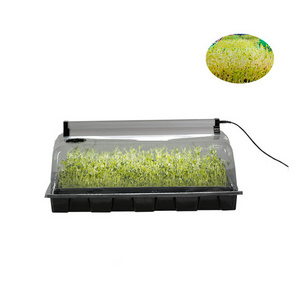 small wheatgrass sprouting seedling domed trays floating hydroponic plastic aeroponic MicroGreen Growing Kit