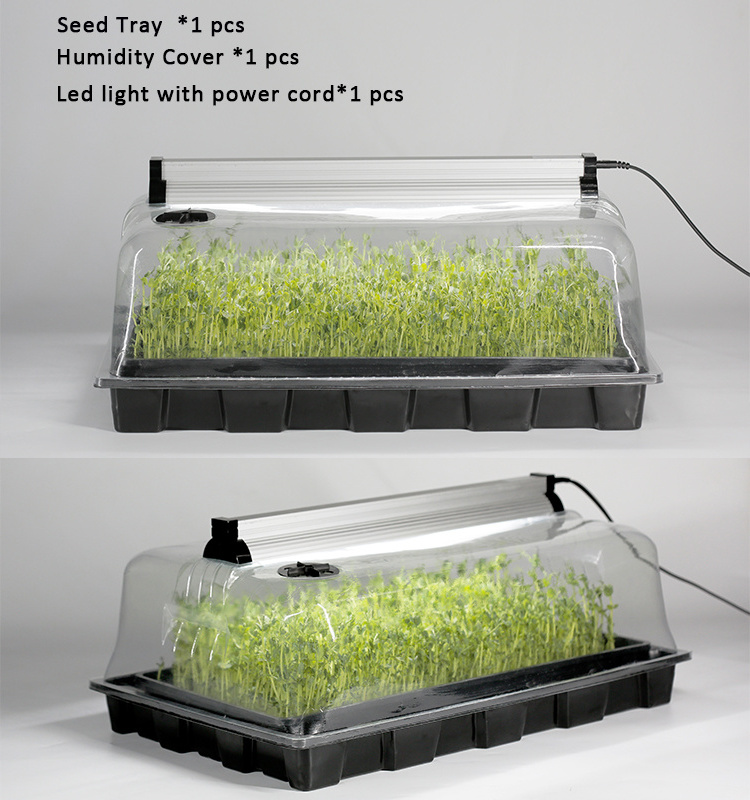 small wheatgrass sprouting seedling domed trays floating hydroponic plastic aeroponic MicroGreen Growing Kit