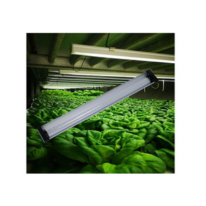 greenhouse lettuce indoor plants tower vertical farming hydroponic system kits full spectrum panel strip bulb led grow light bar