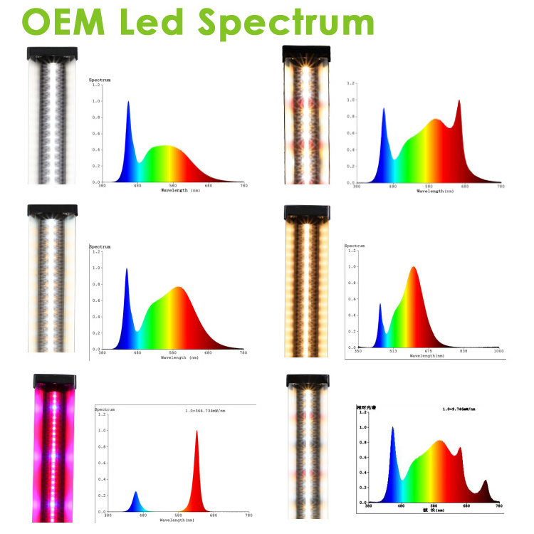 diy ce rohs 4000 5000 lumens 10w 60w led chips indoor green grow room full spectrum t5 grow light fixtures