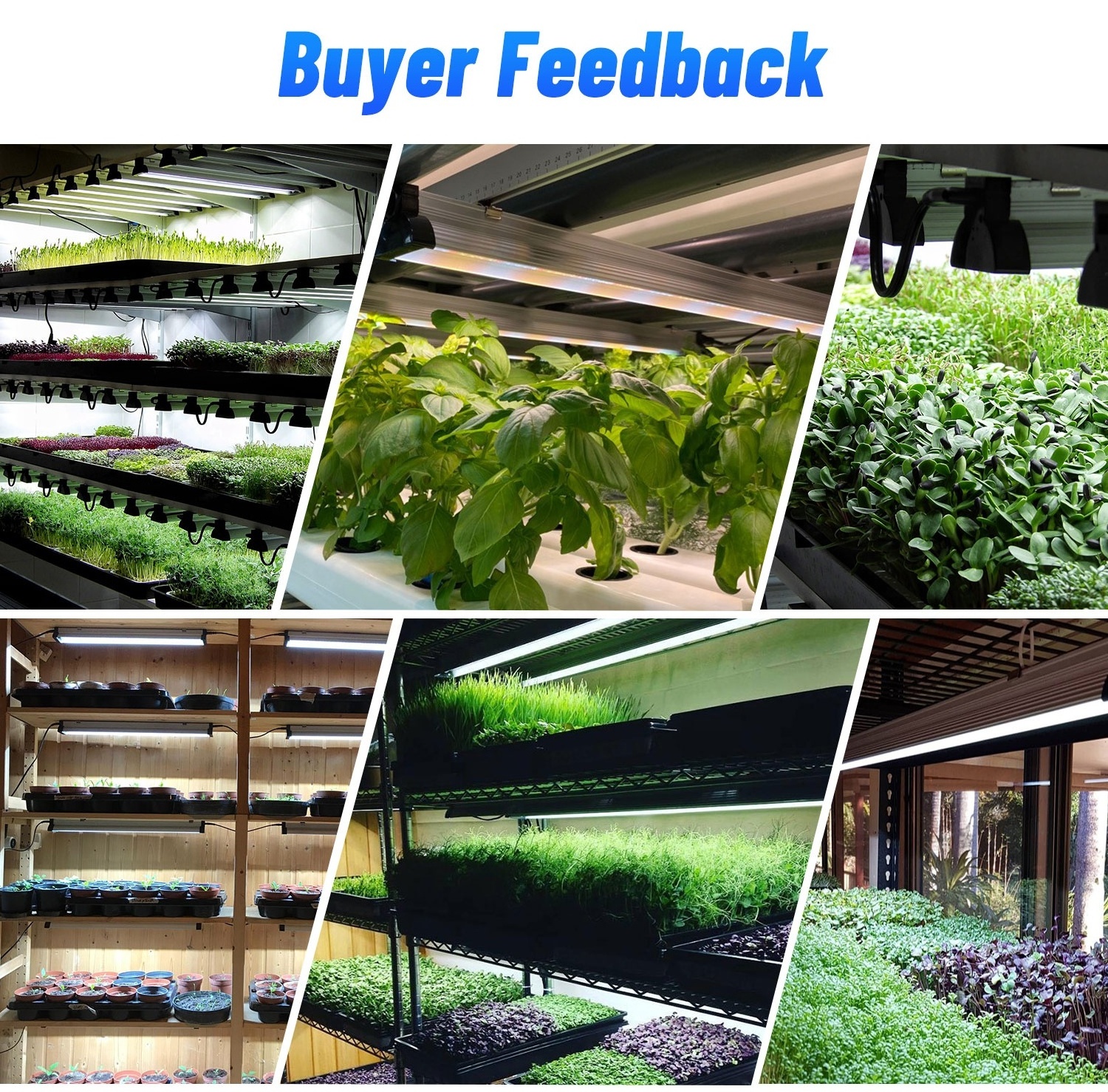 Toplighting Greenhouse Grow Lamp Cob Horticulture Hydroponic Light for Indoor Plant full Spectrum LED Grow Lights Bar