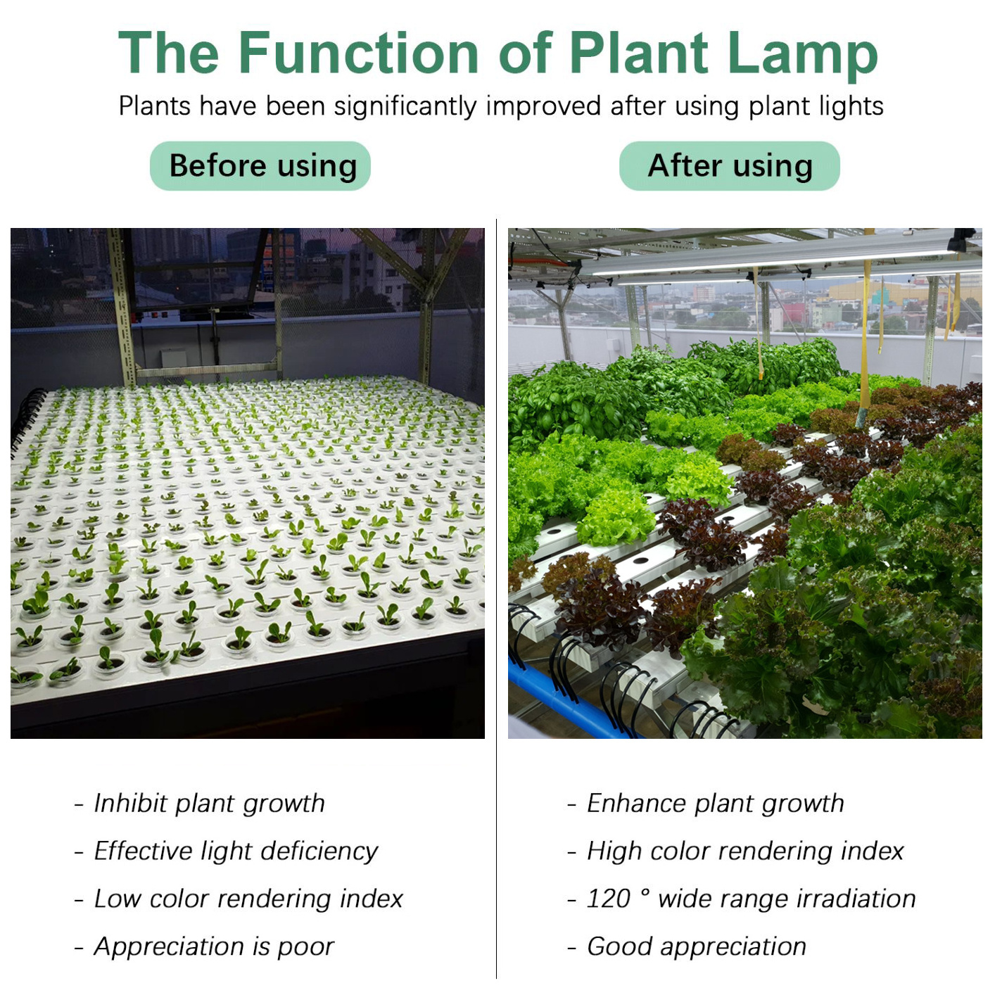 high quality full spectrum garden greenhouse led grow light intertek lighting lamp for plant growing