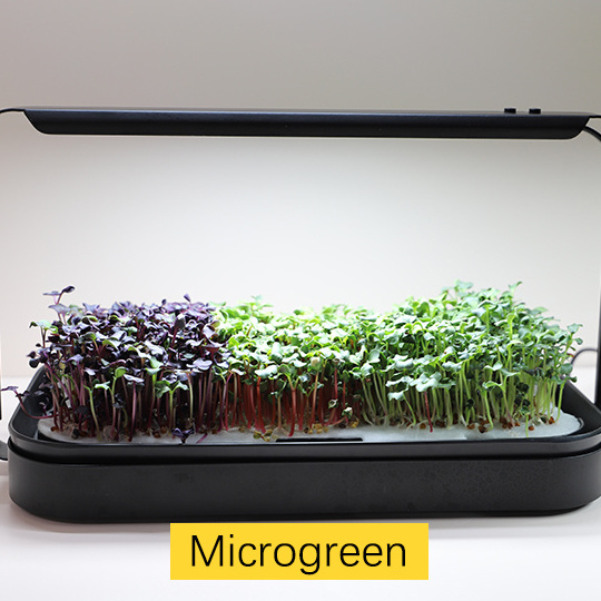 Indoor home planter garden seeds germination mini greenhouse microgreens growing system for home microgreens