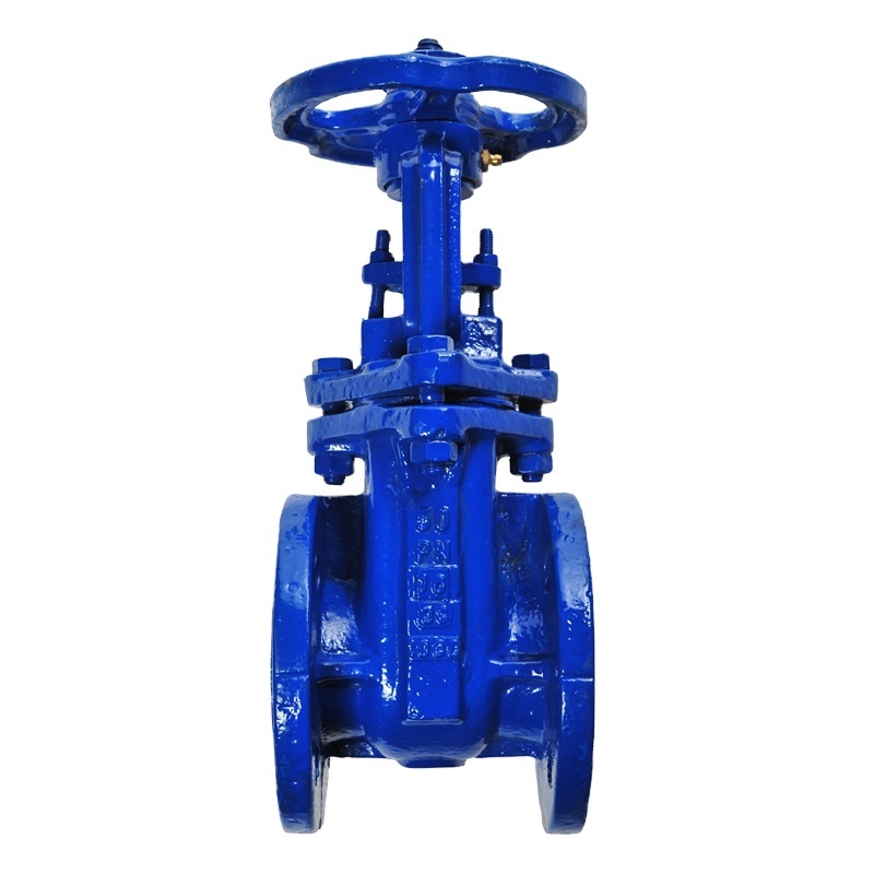 Flanged Type Gate Valve Rising Stem Rf Stainless Steel Flange Gate Valve high temperature gate valve for plumbing