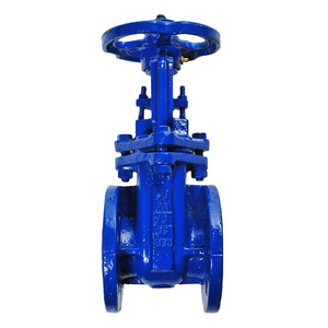 Flanged Type Gate Valve Rising Stem Rf Stainless Steel Flange Gate Valve high temperature gate valve for plumbing