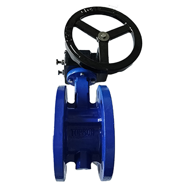 Din3352  Ggg50 Gate Valve Ductile Iron Gate Valve 1INCH Price List Water Hand Wheel