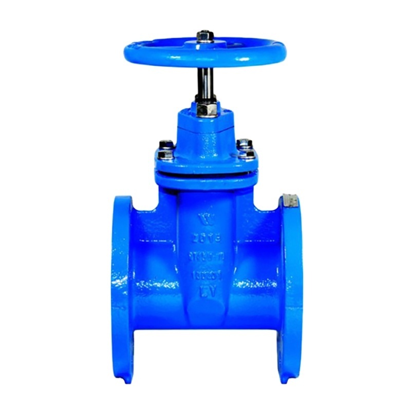 Dn50 Pn16 slide gate valve NRS black cast iron 8 inch gate valve