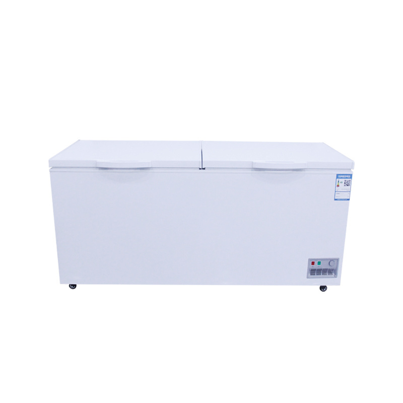 Best-selling two-door commercial best-selling food storage freezer