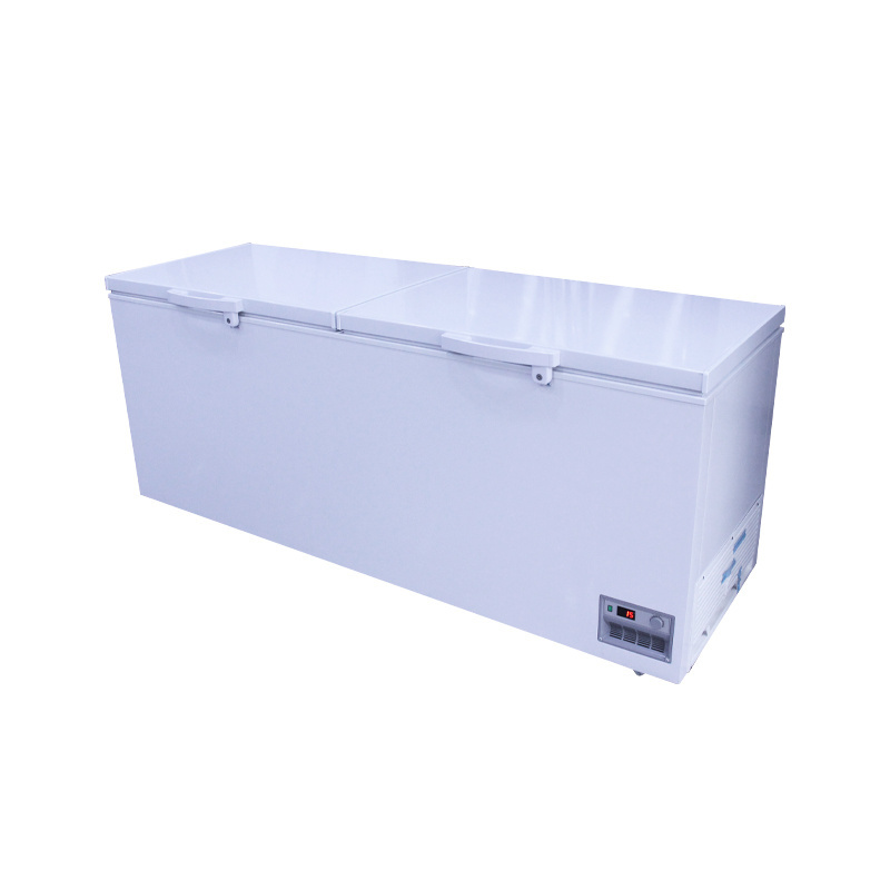 2023 The most popular selling style commercial two-door large space food storage freezer