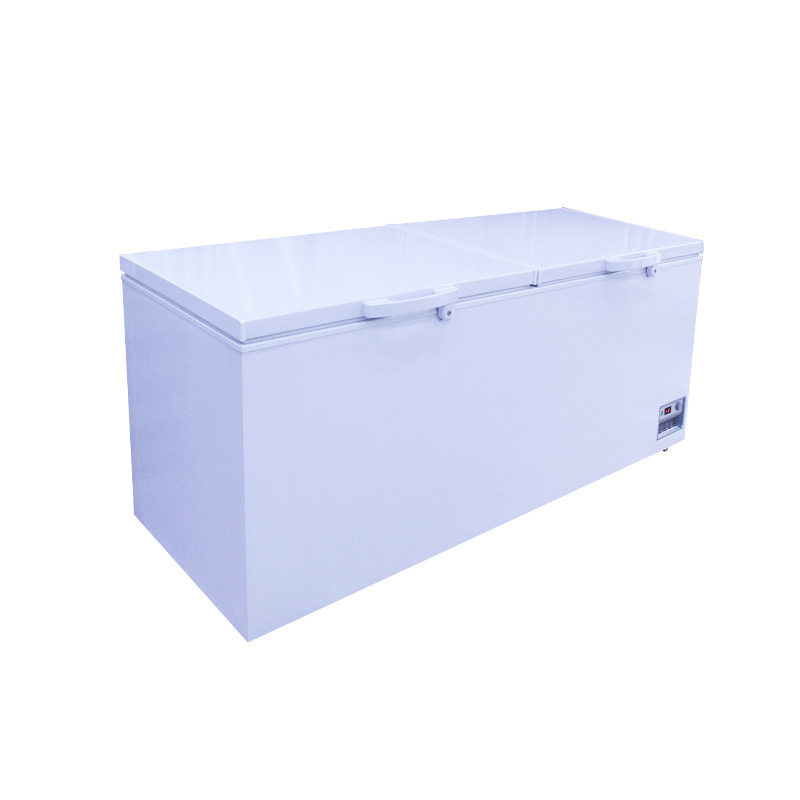 2023 The most popular selling style commercial two-door large space food storage freezer