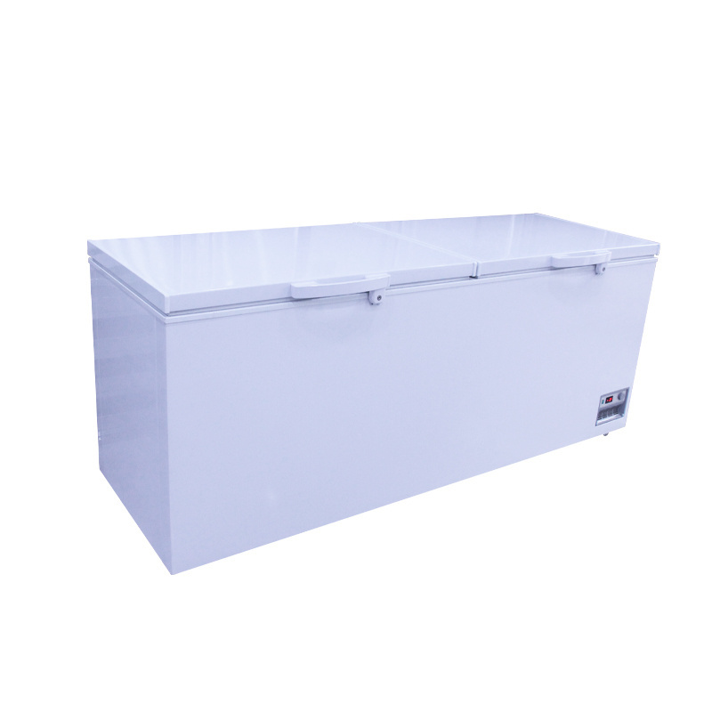 Two-door large space food storage freezer can be customized by factory