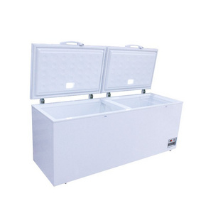 Two-door large space food storage freezer can be customized by factory