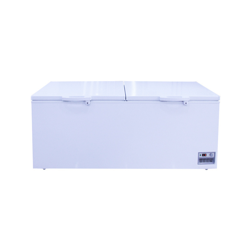 Manufacturers selling two-door commercial large space food storage freezer