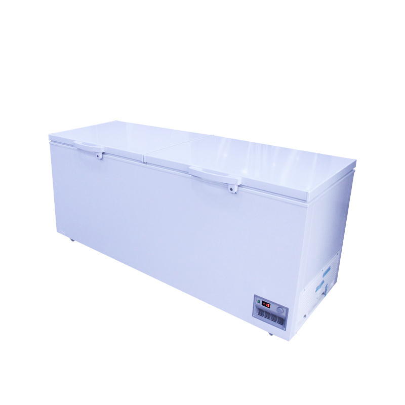 Two-door large space food storage freezer can be customized by factory