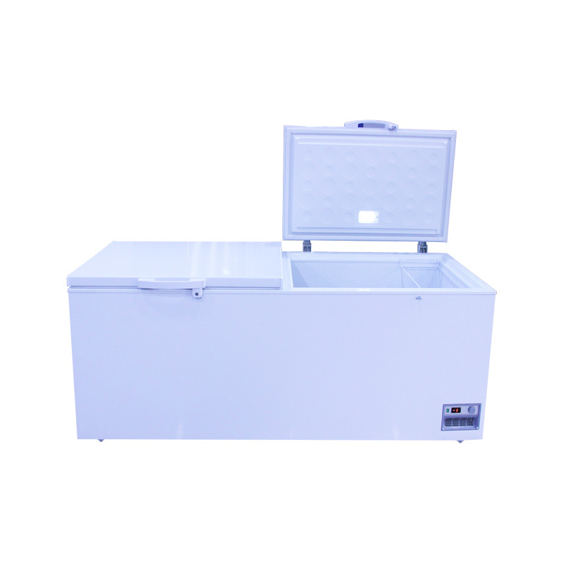 Manufacturers selling two-door commercial large space food storage freezer