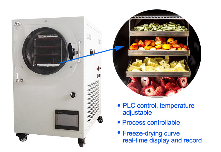 household freeze dryer mini lyophilizer freeze dryer for food