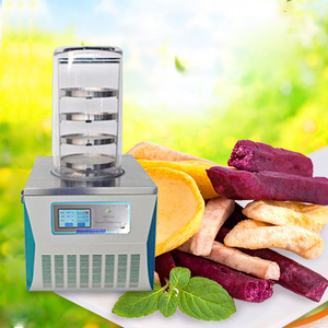 Fruit vegetable  vacuum Freeze Drying equipment used fruit vegetable  freeze dryer for sale