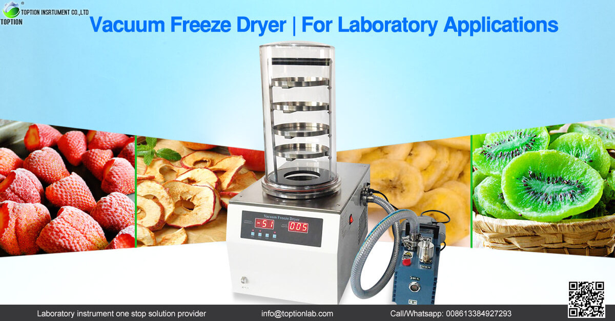 fruit vegetable  vacuum Freeze Drying equipment used freeze dryer for sale