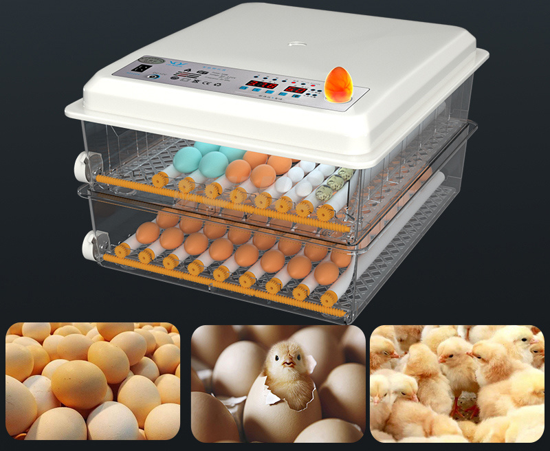 Full Automatic Chicken Egg Incubator Intelligent Control CE Approved Eggs Incubator Fully Automatic for Hatching Eggs