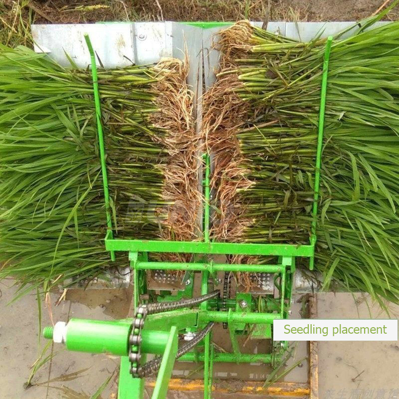 High Quality Semi-automatic Paddy Rice Transplanter 2 Rows Rice Planting Machine