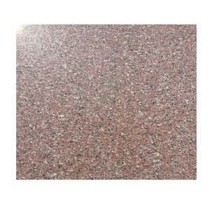 Rosy Pink Granite Natural Stone TOSHIBBA IMPEX Modern Hotel 3500 with Corrugated / Tharmacoal Natural Stone