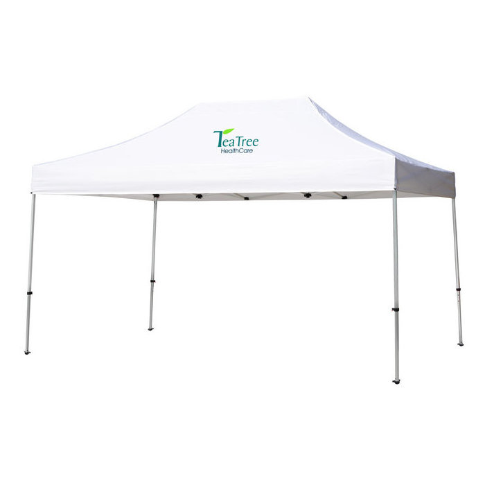 Custom print canopy tent promotional 10 x 10 pop up event marquee gazebo canopy roof top  camping BBQ trade show tent