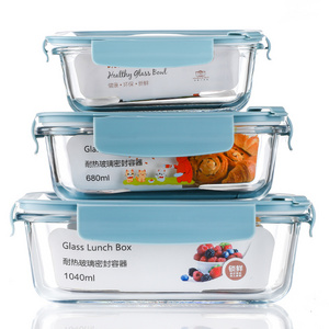 Microwavable Borosilicate Glass Food Storage Meal Prep Container custom food container