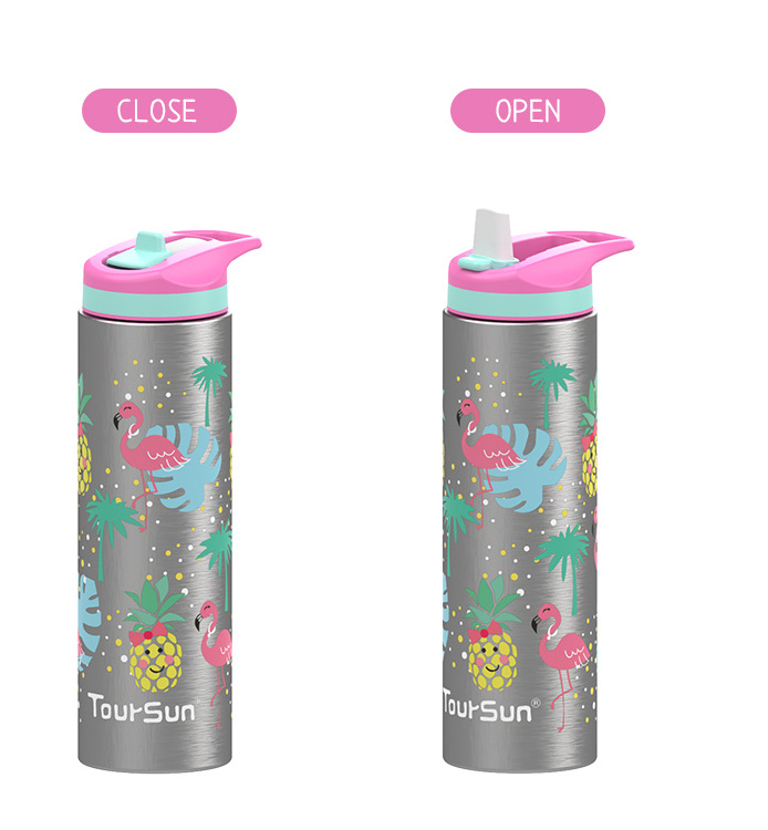 520ml Custom Logo Insulated Water Bottle Double Wall Stainless Steel Water Bottles Bulk