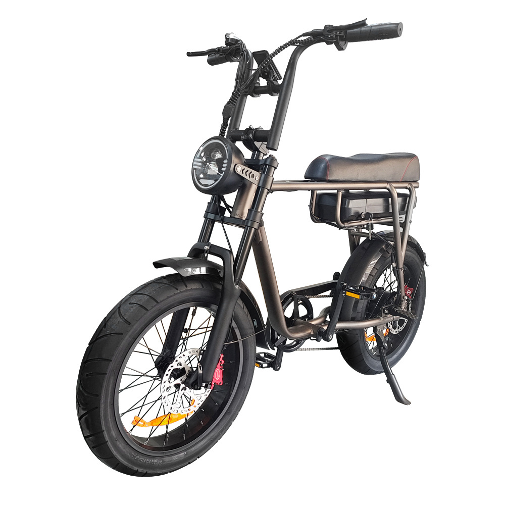 Tourwheel retro electr beach cruiser ebike off road street tire fast europe 250W fatbike eu magazijn fatbike electrische