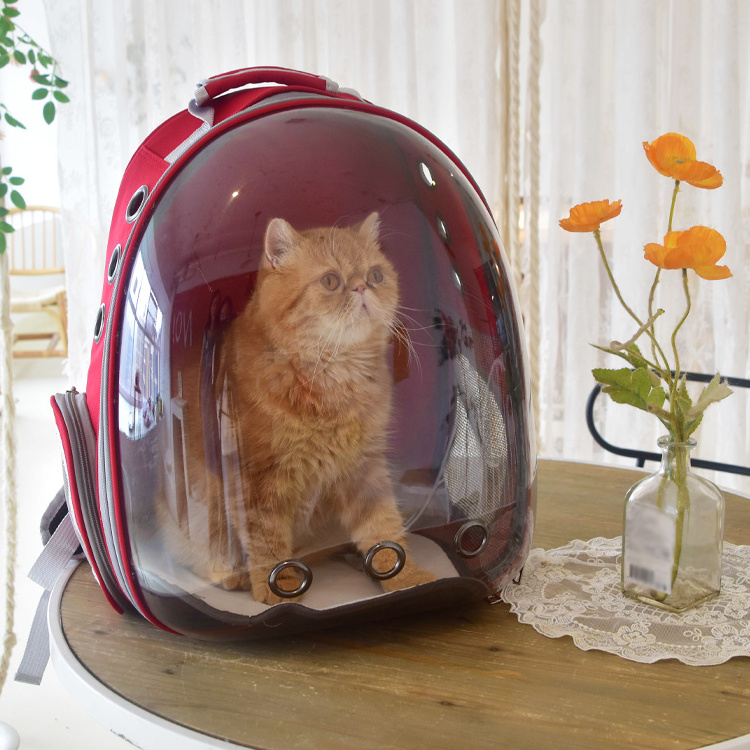 Pet backpack Wholesale High Quality Go out portable clear capsule pet bag Cat bag  Go out cat supplies Breathable backpack