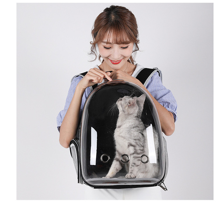 Pet backpack Wholesale High Quality Go out portable clear capsule pet bag Cat bag  Go out cat supplies Breathable backpack