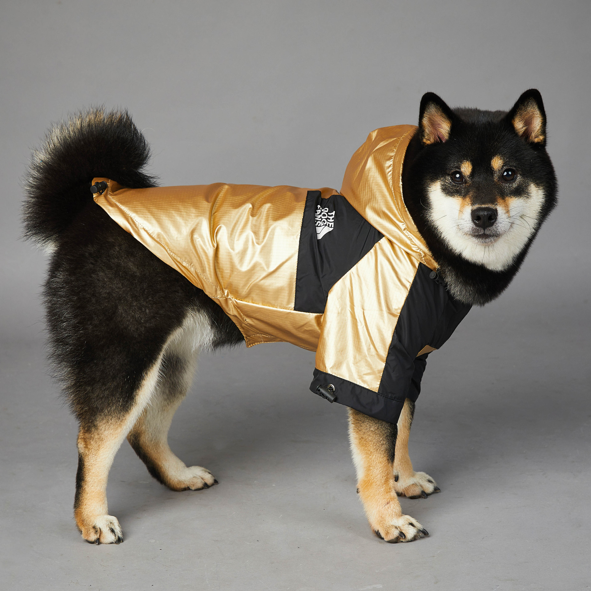 Dog coat cover jacket hoodie Wholesale hotsell Luxury Designer Outfits Supplies Apparel Pet Dress Dog Clothes