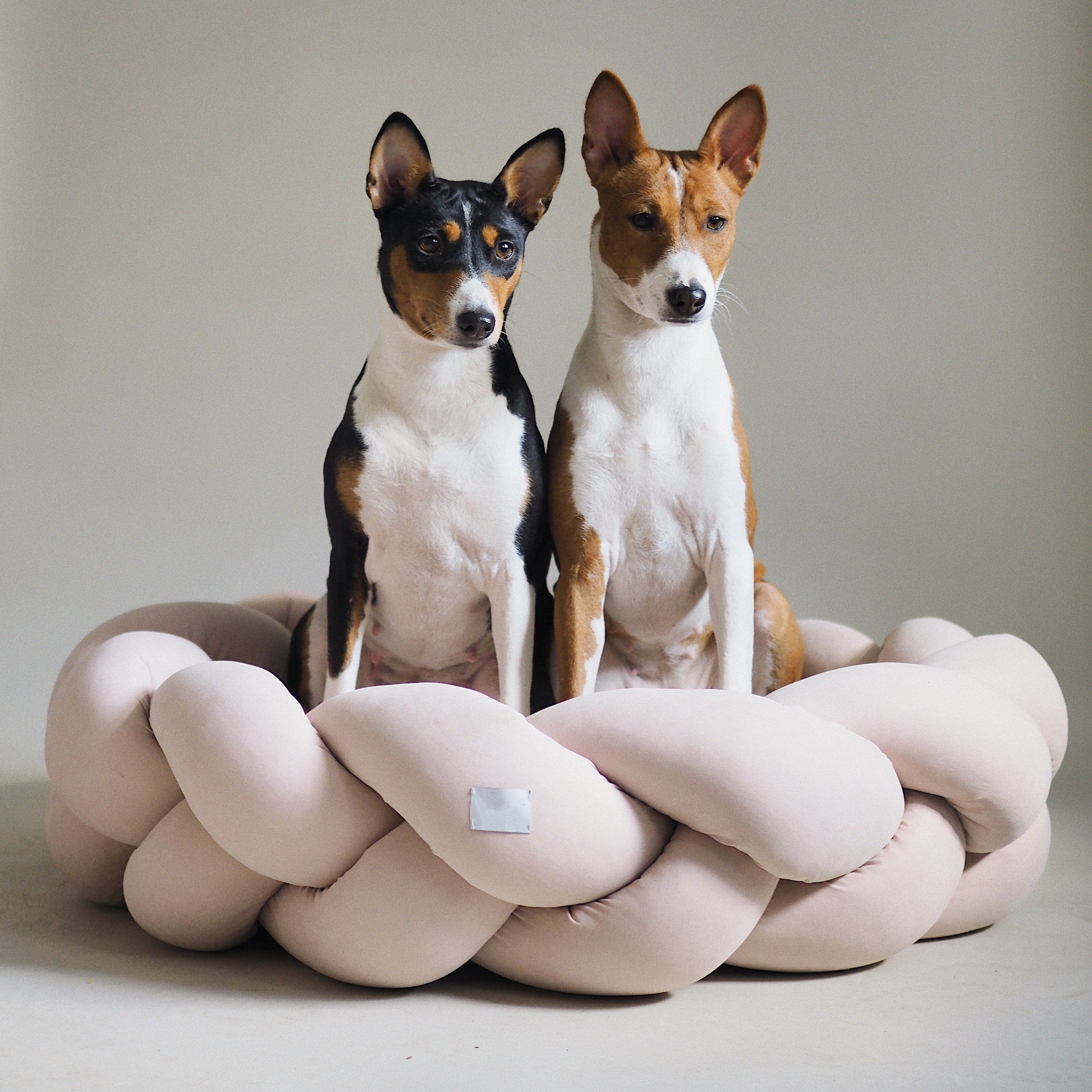 Luxury Sofa pet bed Removable Cozy Round Double Sided  accessories Breathable Dog Sofa Bed Dog Nest Large Rectangle Pet Beds