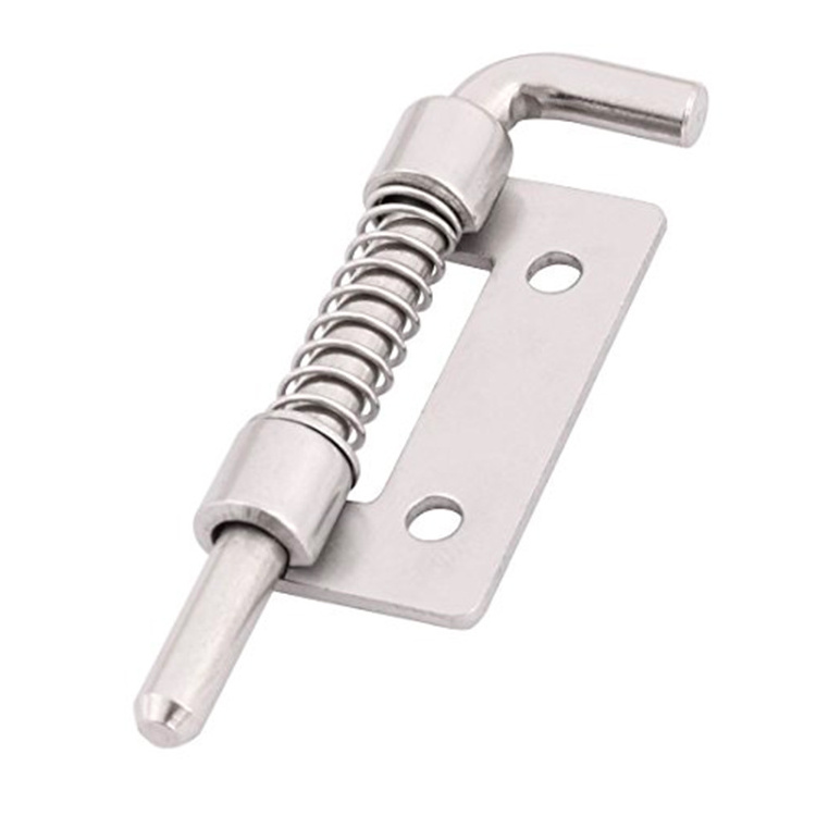 Stainless Steel Flat Pin Hinge Spring Movable Spring Hinge Latch