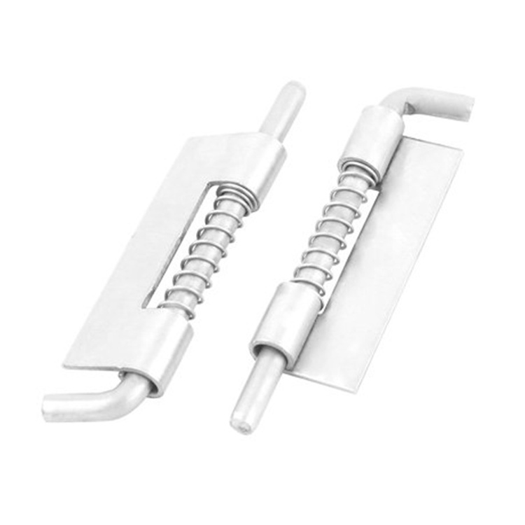 Stainless Steel Flat Pin Hinge Spring Movable Spring Hinge Latch