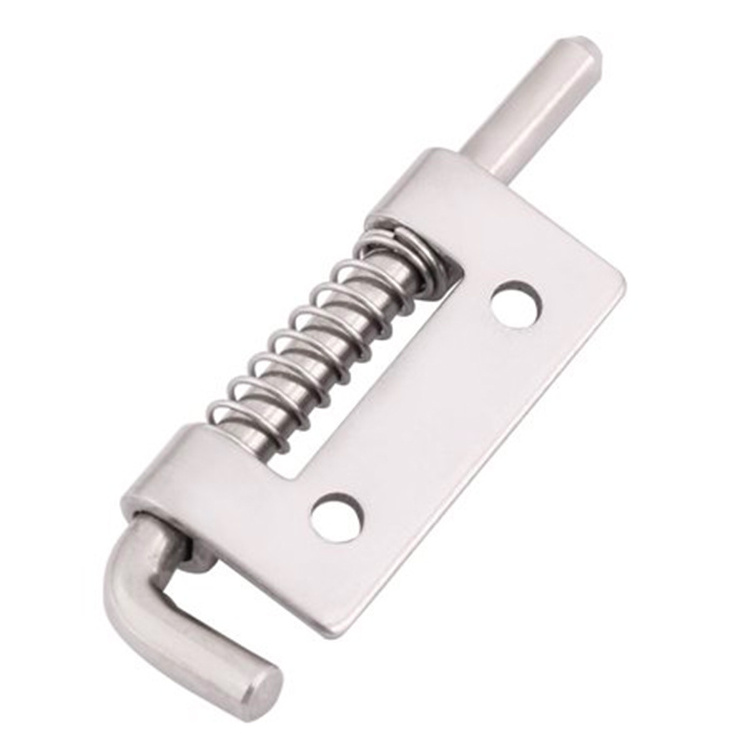 Stainless Steel Flat Pin Hinge Spring Movable Spring Hinge Latch