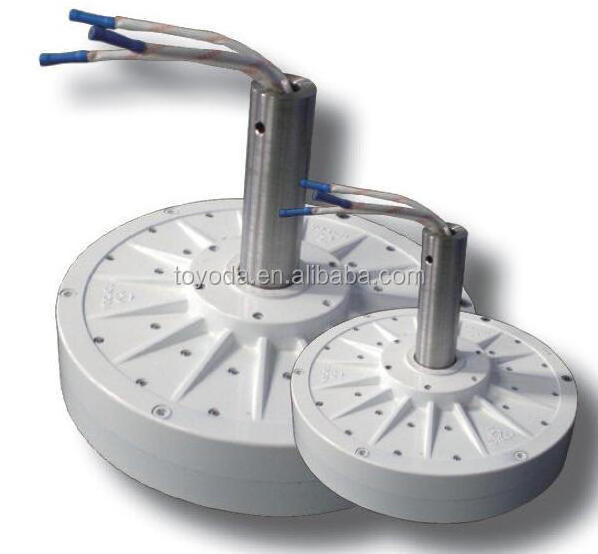 Disc core-less rare earth permanent magnet wind generator