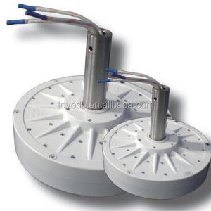 Disc core-less rare earth permanent magnet wind generator