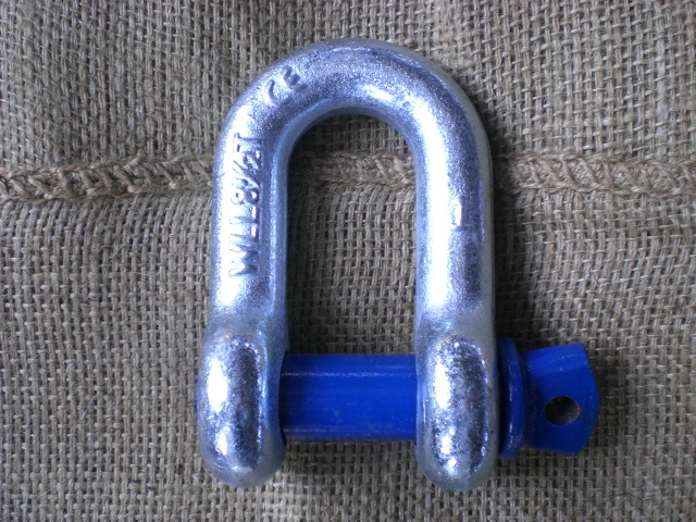 TOYO-INTL Hot Sell US Type D Shackle High Grade Screw Pin Anchor D Shackle G210 G2150 S210