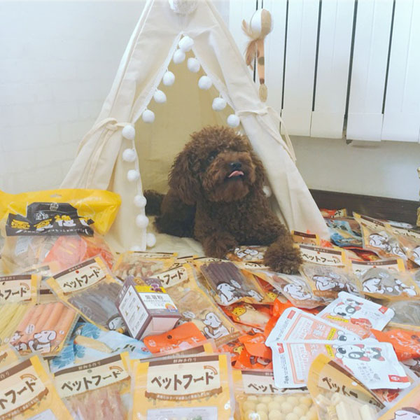 Hot Sale Soft Warm Detachable and Washable Pet Bed Teepee Tent for Dogs/Cats