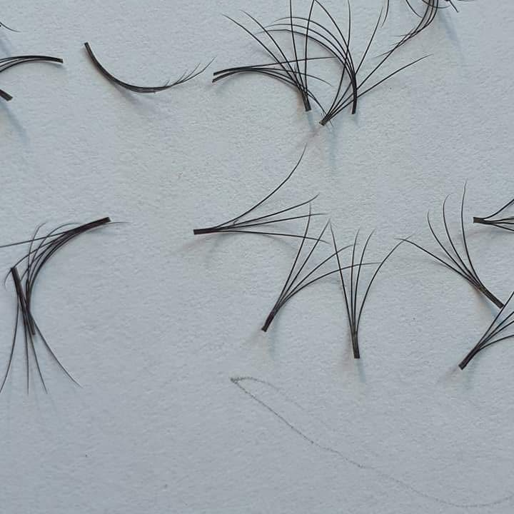 High quality 3d 4D 5D premade lashes made in Vietnam (William: +84 77 574 3112) FANS EYELASH SHORT ROOT