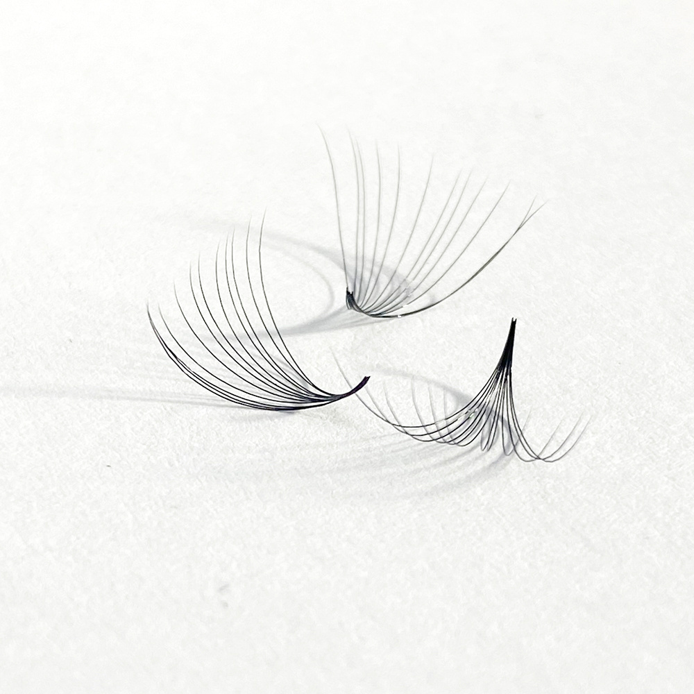 High Quality Private Logo Volume Lashes L/M Curl Single Eye Eyelashes Supplier From Vietnam FANS EYELASH 20D