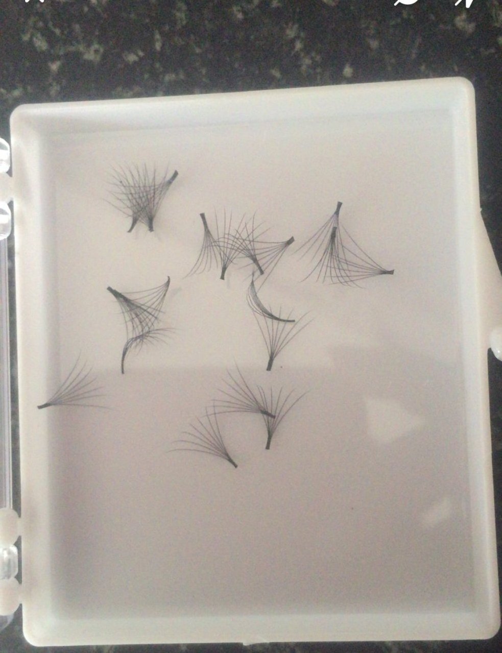 High quality Russian volume 0.05 0.07 eyelash  fanning lashes bulk from Vietnam