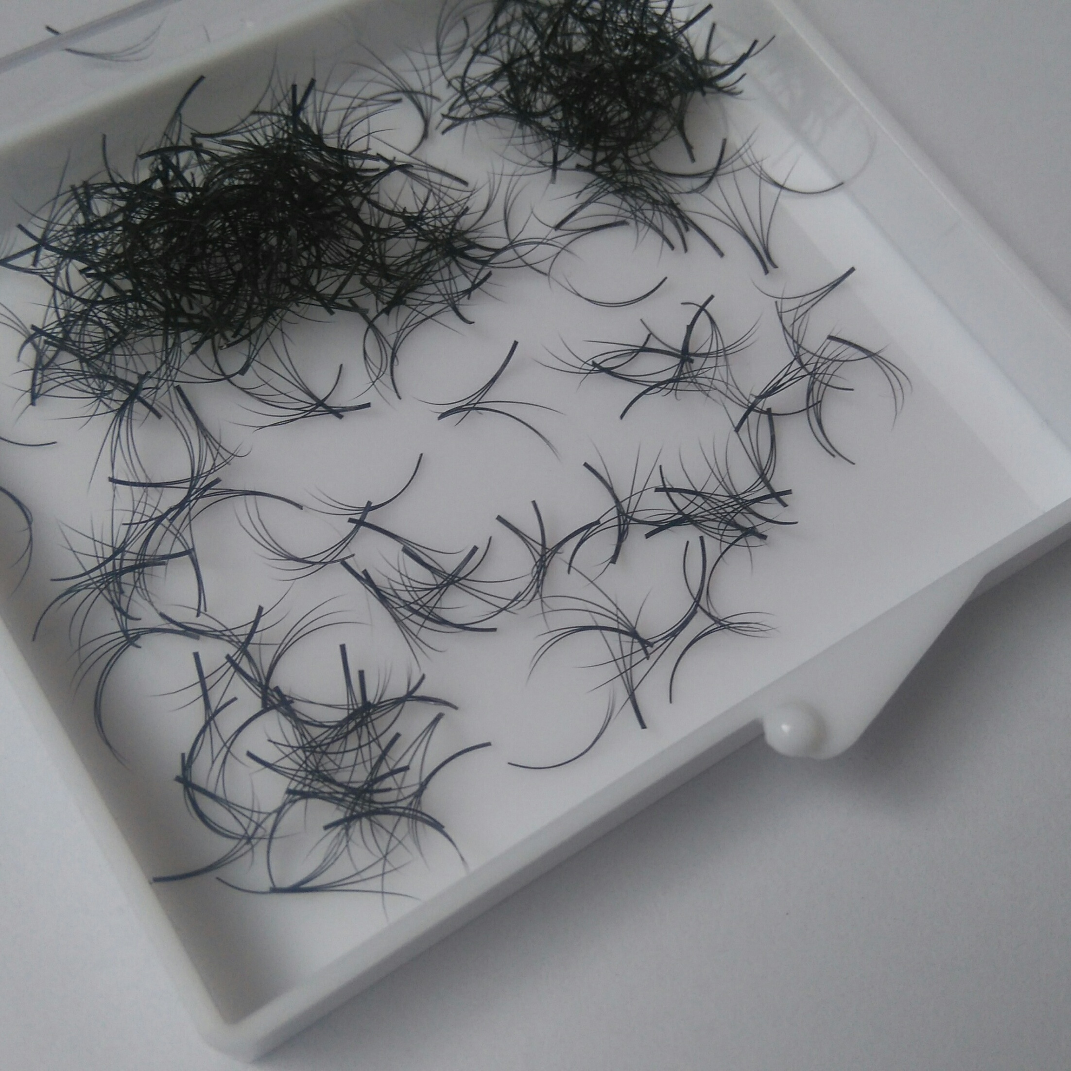 High quality 3d 4D 5D premade lashes made in Vietnam (William: +84 77 574 3112) FANS EYELASH SHORT ROOT