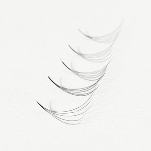 Do own logo for bulk order Fans Volume Eyelashes Wholesale  volume eyelash supplies 0.07 for export in bulk