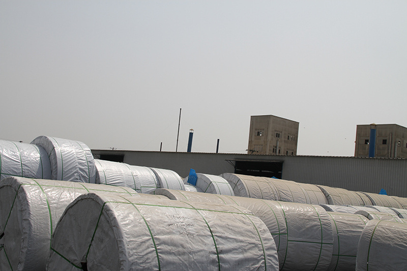 Fabric Nylon Polyester Canvas Cotton Extreme Anti-Abrasion Side Wall Skirt Edge Rubber Conveyor Belt for Coal