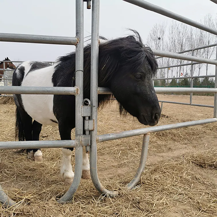 Most Used Galvanized Iron Stable Metal Fence Panels Livestock Corral Horse Fence Panels