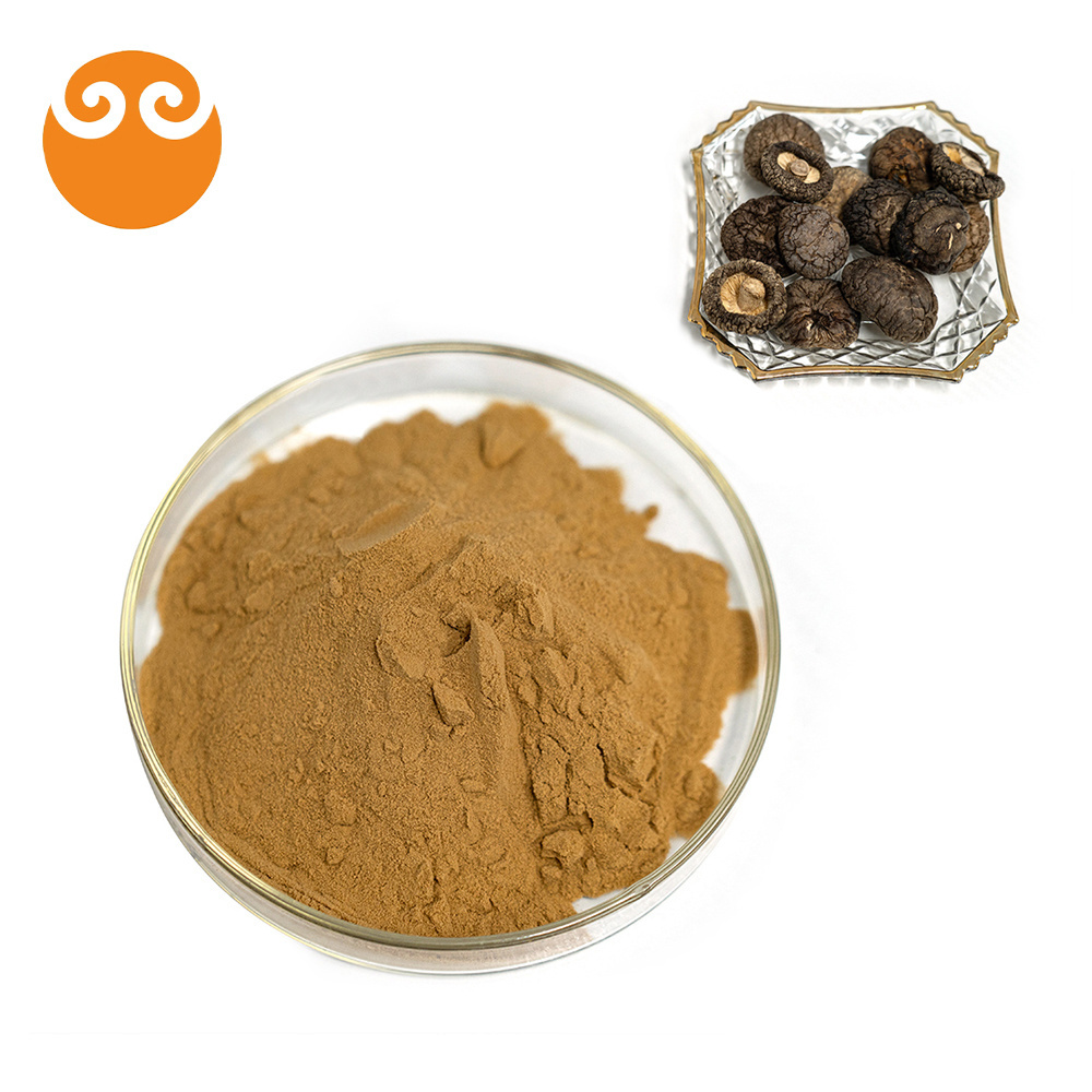 China factory shiitake mushroom extract powder lentinan/shiitake mushroom powder polysaccharide 40%